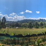 Kenya – A Kisii Adventure: Family, Time Pressure, and a Dark Drive