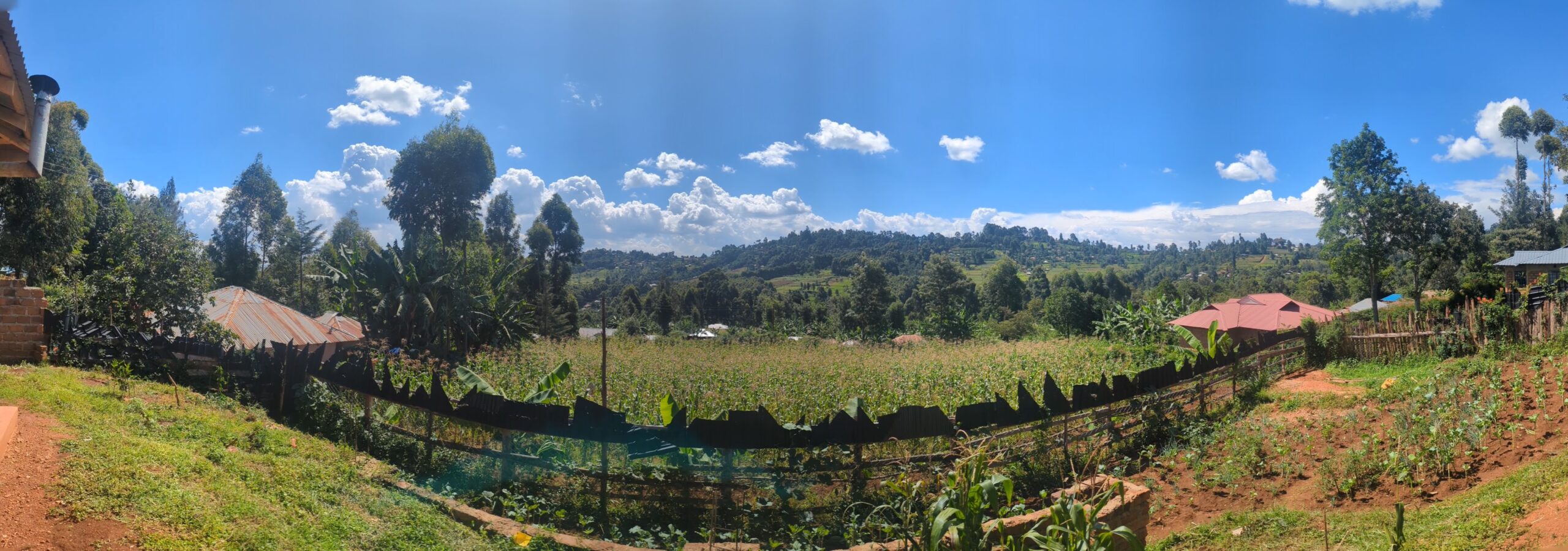 Kenya – A Kisii Adventure: Family, Time Pressure, and a Dark Drive